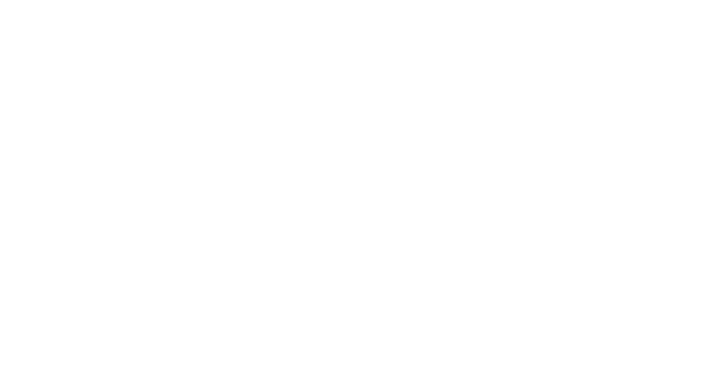 Logo LeoLePlug Agency